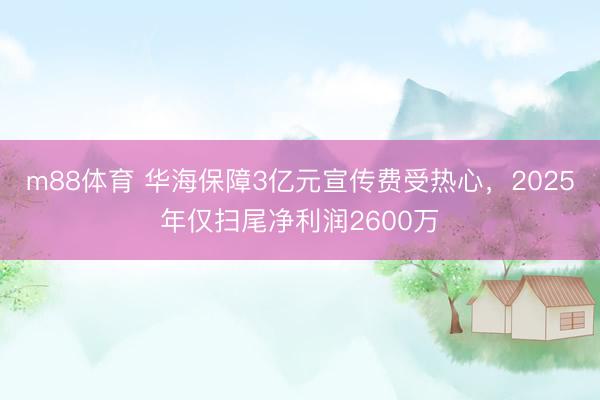 m88体育 华海保障3亿元宣传费受热心，2025年仅扫尾净利润2600万