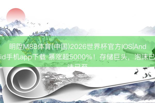 明陞M88体育(中国)2026世界杯官方IOS|Android手机app下载 暴涨超5000%！存储巨头，泡沫已至