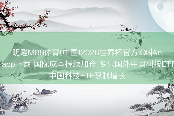 明陞M88体育(中国)2026世界杯官方IOS|Android手机app下载 国际成本握续加仓 多只国外中国科技ETF限制增长
