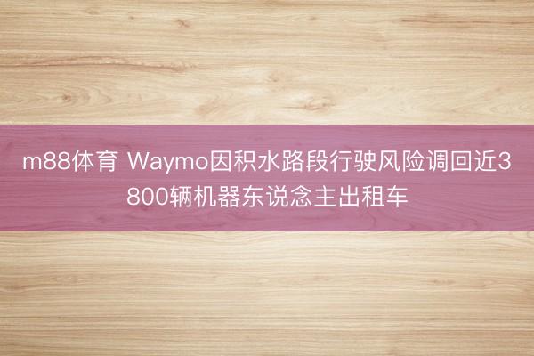 m88体育 Waymo因积水路段行驶风险调回近3800辆机器东说念主出租车