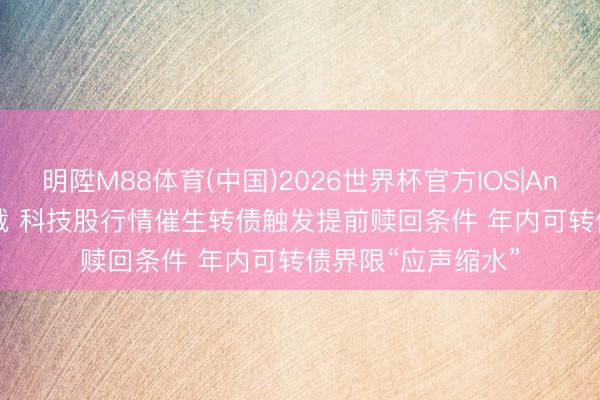明陞M88体育(中国)2026世界杯官方IOS|Android手机app下载 科技股行情催生转债触发提前赎回条件 年内可转债界限“应声缩水”