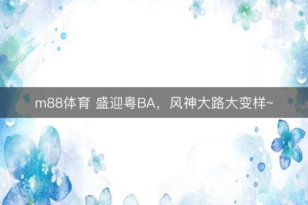 m88体育 盛迎粤BA，风神大路大变样~