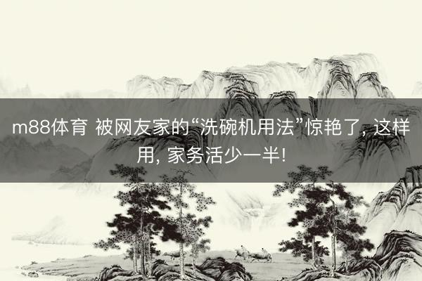 m88体育 被网友家的“洗碗机用法”惊艳了， 这样用， 家务活少一半!