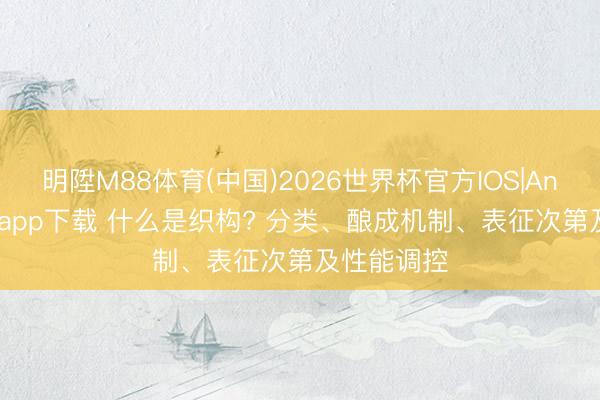 明陞M88体育(中国)2026世界杯官方IOS|Android手机app下载 什么是织构? 分类、酿成机制、表征次第及性能调控