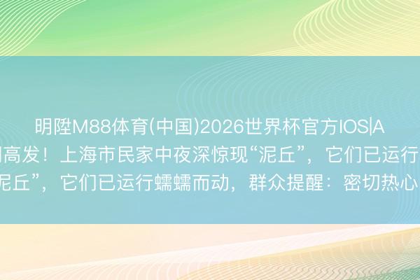 明陞M88体育(中国)2026世界杯官方IOS|Android手机app下载 近期高发!上海市民家中夜深惊现“泥丘”,它们已运行蠕蠕而动,群众提醒:密切热心“三线一区”