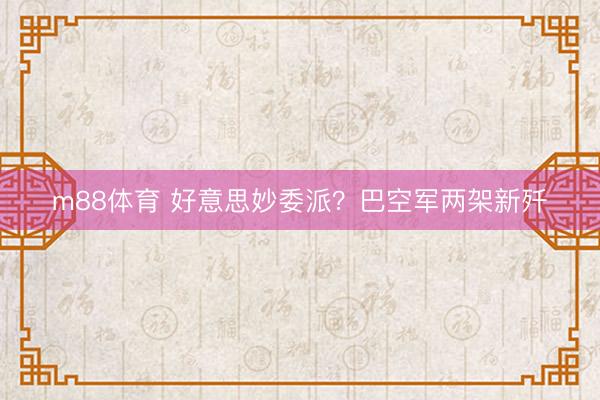 m88体育 好意思妙委派？巴空军两架新歼