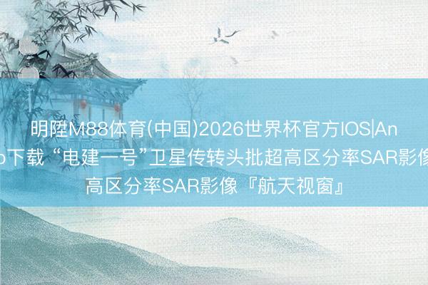 明陞M88体育(中国)2026世界杯官方IOS|Android手机app下载 “电建一号”卫星传转头批超高区分率SAR影像『航天视窗』