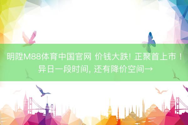 明陞M88体育中国官网 价钱大跌! 正聚首上市 ! 异日一段时间， 还有降价空间→