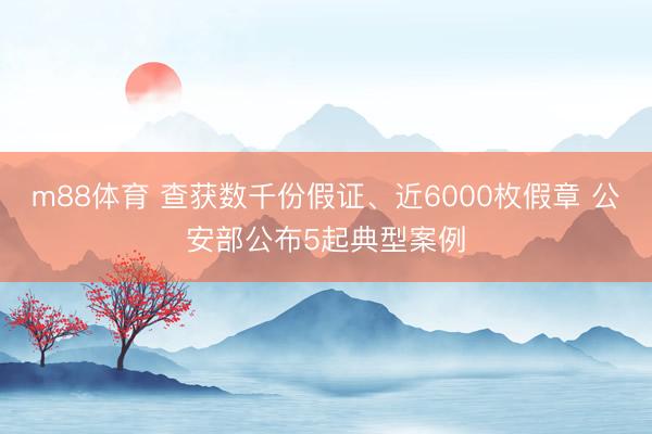 m88体育 查获数千份假证、近6000枚假章 公安部公布5起典型案例