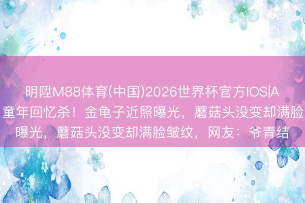 明陞M88体育(中国)2026世界杯官方IOS|Android手机app下载 童年回忆杀！金龟子近照曝光，蘑菇头没变却满脸皱纹，网友：爷青结