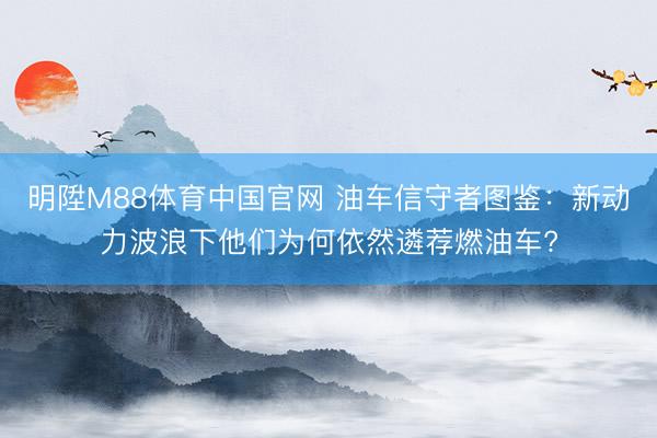 明陞M88体育中国官网 油车信守者图鉴：新动力波浪下他们为何依然遴荐燃油车?