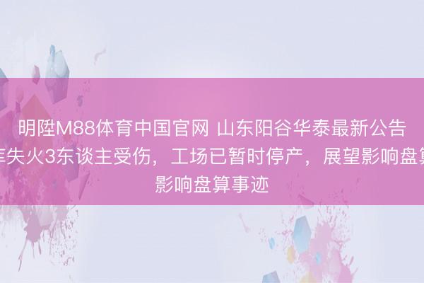 明陞M88体育中国官网 山东阳谷华泰最新公告：仓库失火3东谈主受伤，工场已暂时停产，展望影响盘算事迹