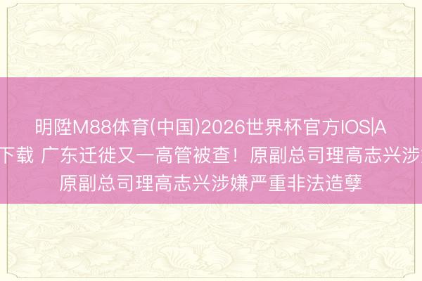 明陞M88体育(中国)2026世界杯官方IOS|Android手机app下载 广东迁徙又一高管被查！原副总司理高志兴涉嫌严重非法造孽