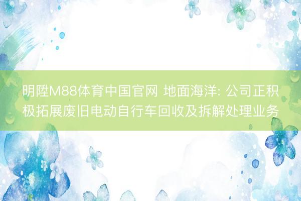 明陞M88体育中国官网 地面海洋: 公司正积极拓展废旧电动自行车回收及拆解处理业务