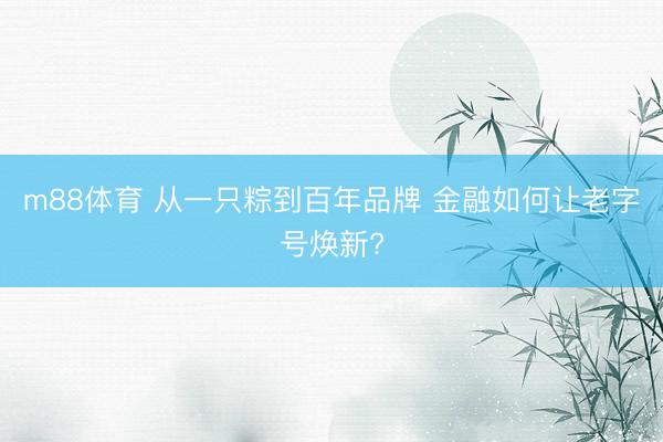 m88体育 从一只粽到百年品牌 金融如何让老字号焕新?