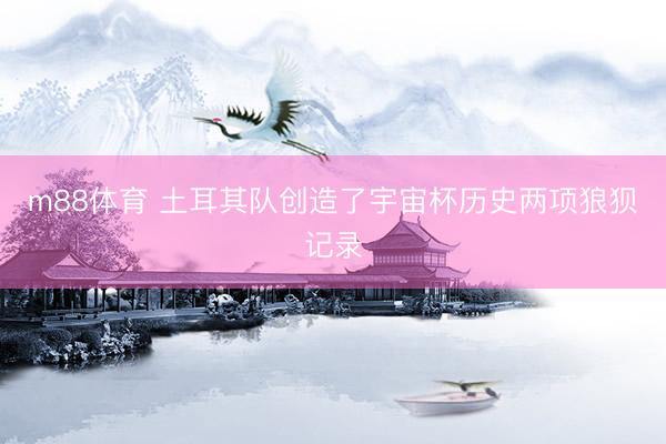 m88体育 土耳其队创造了宇宙杯历史两项狼狈记录